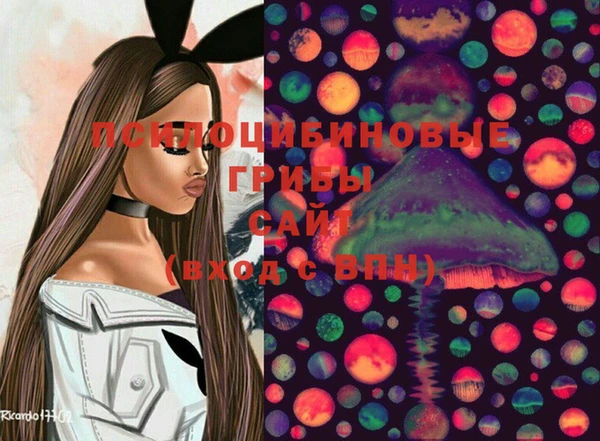 гидропоника Алексеевка