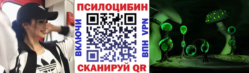 Галлюциногенные грибы Psilocybine cubensis  Россошь 