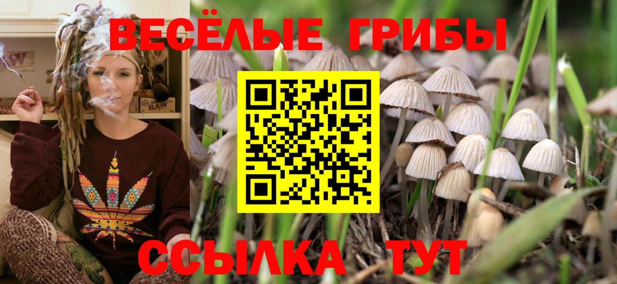 Псилоцибиновые грибы мицелий Россошь
